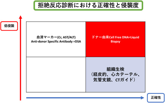 肝臓移植・小腸移植リキッドバイオプシー（cell free DNA）の開発