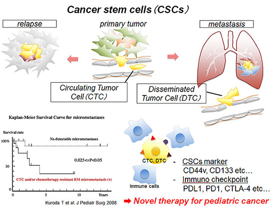 小児固形腫瘍における癌幹細胞の同定・治療に関する研究