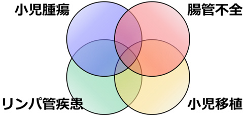 慶應小児外科の研究の4つの柱
